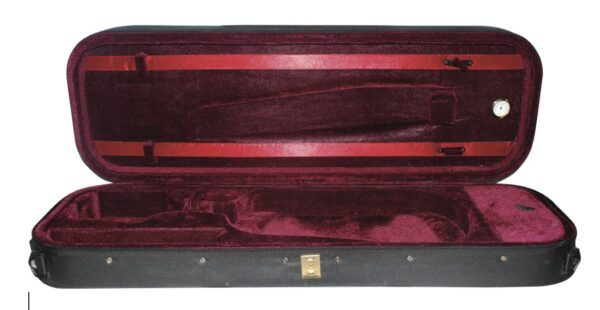 Viola case