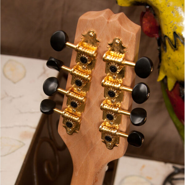 Roosebeck Standard Irish Bouzouki with Gig Bag Music2Tor